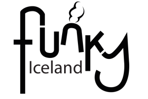walking tour in reykjavik